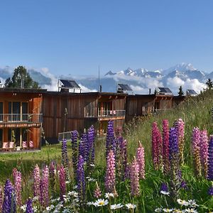 L'Aiguille Grive Chalets Hotel